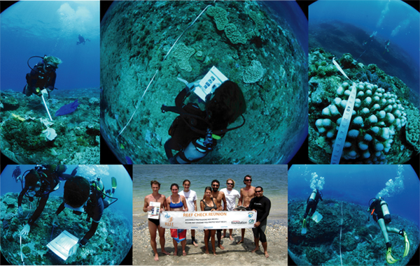 Reef check Guadeloupe